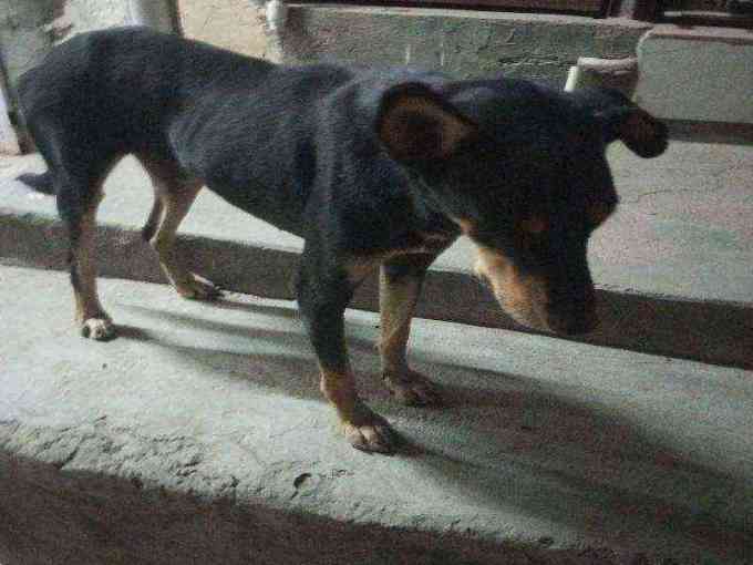 Sandi photo